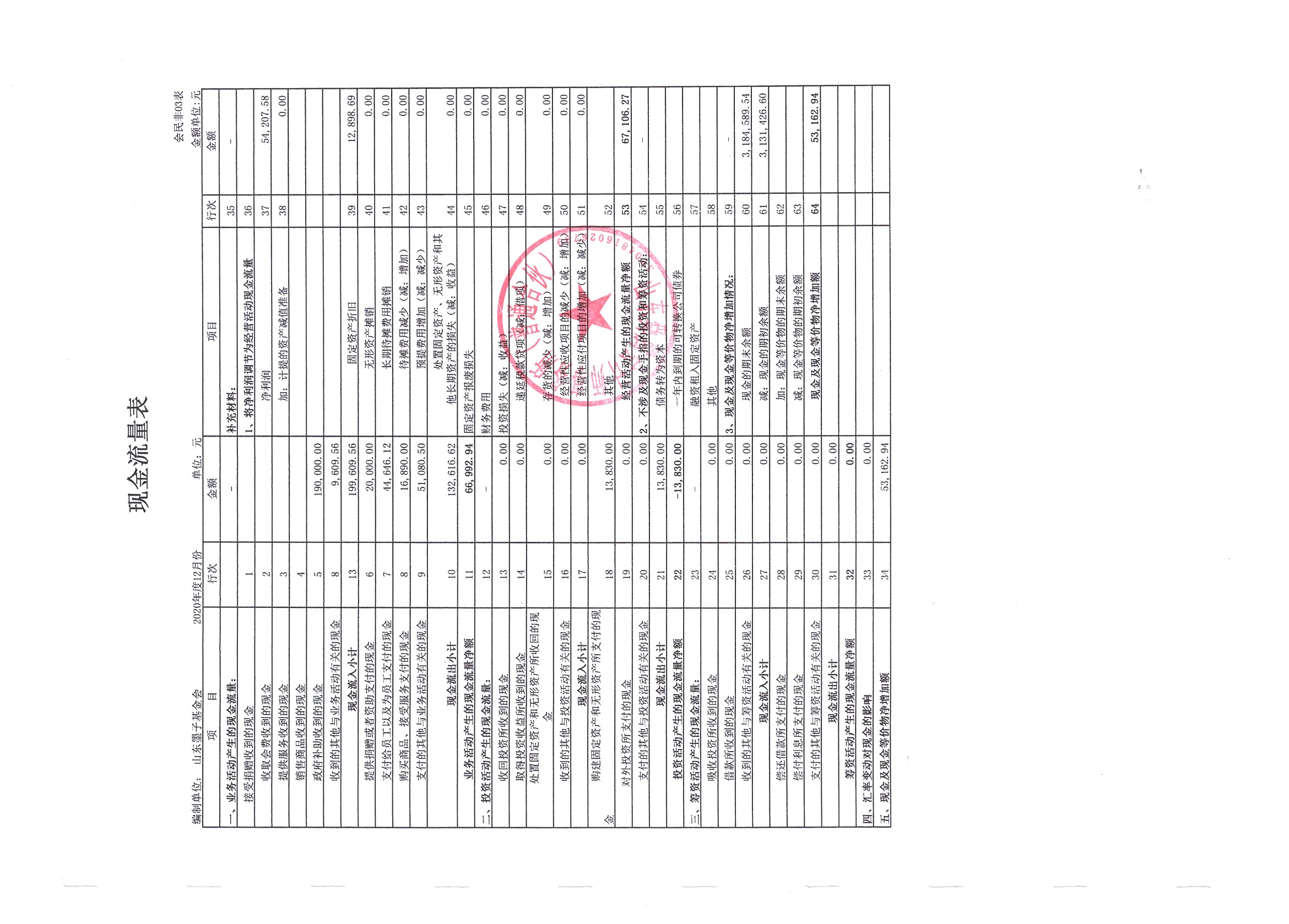 2020年度财务审计报告-山东墨子基金会-8